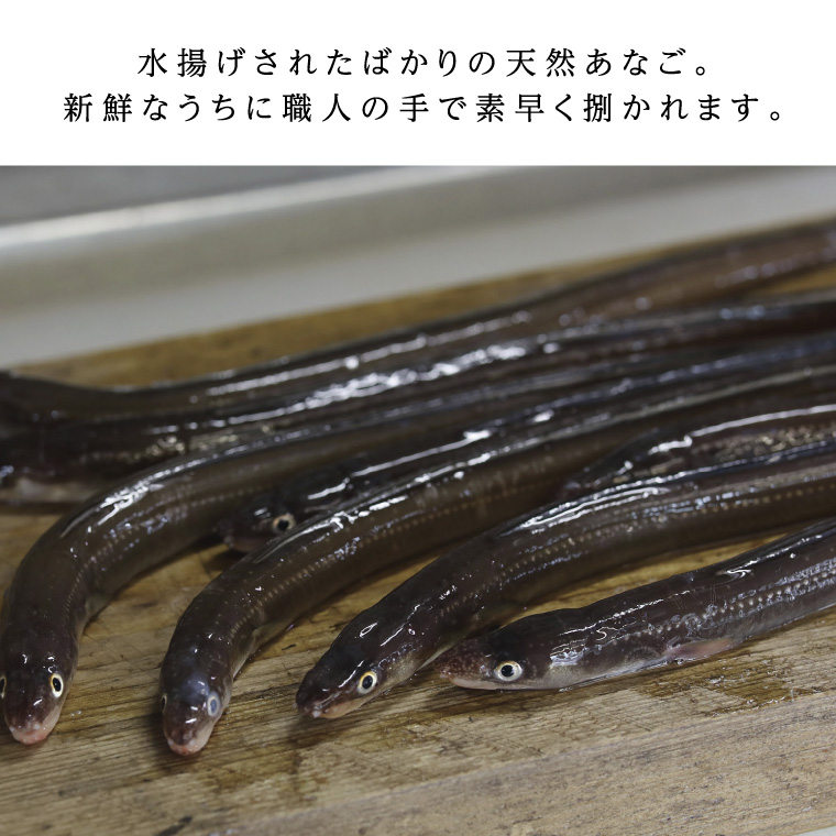 あなご 先行予約 山銀商店 かば焼き あなご (合計約300g)  産地直送 穴子 魚介類 アナゴ 
