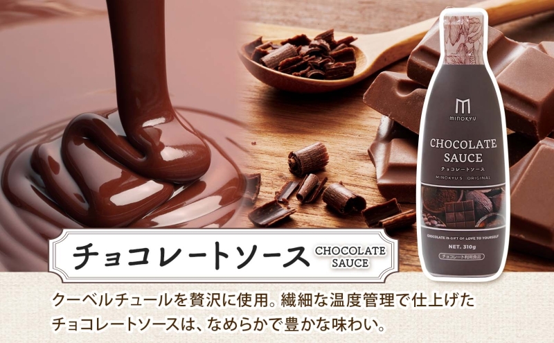  美ノ久 チョコレートソース 310g×1本 チョコレート ソース チョコ クーベルチュール チョコソース デザート アレンジ スイーツ ドリンク トッピング ワッフル パンケーキ チョコレートドリンク お取り寄せ ご当地 送料無料 岐阜県 安八町