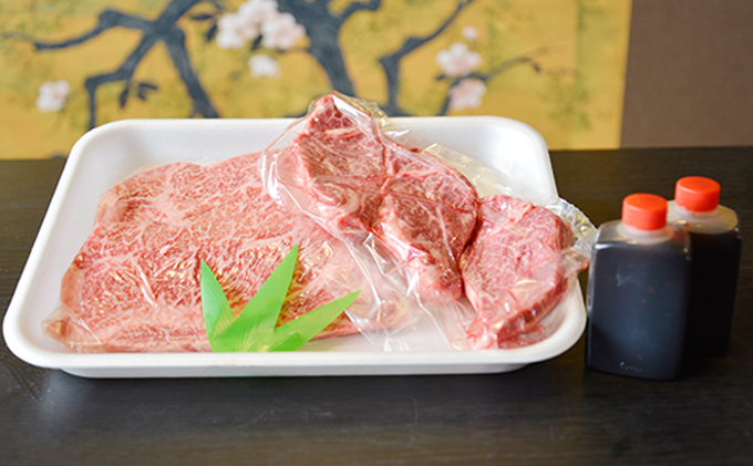 飛騨牛　ロース・ヒレ焼肉用約400g（約200g×2p）A4～A5等級使用 お肉 牛肉 