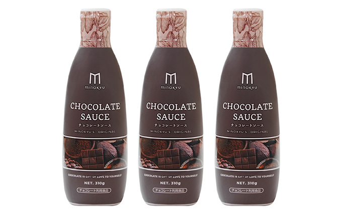 チョコレートソース　310g　3本セット 調味料 スイーツ お菓子 