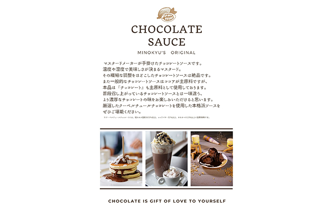 チョコレートソース　310g　2本セット 調味料 スイーツ お菓子 