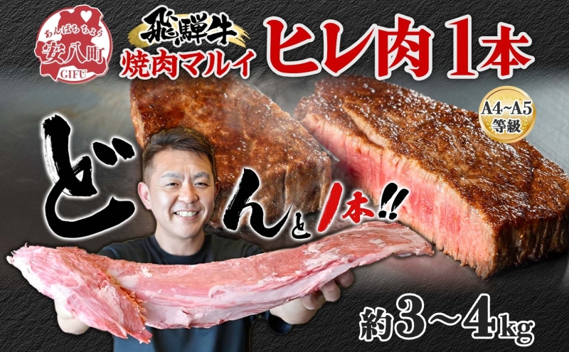 飛騨牛 ヒレ肉 ブロック A4～A5等級 1本 約3～4kg 3～4分割 ヒレ シャトーブリアン 肉 牛肉 ブランド牛 お肉 和牛 贅沢 お取り寄せ ご褒美 ステーキ 豪華 グルメ 焼肉 BBQ パーティー ギフト 贈り物 自家用 贈答用 焼肉マルイ 岐阜県 【 安八町 】