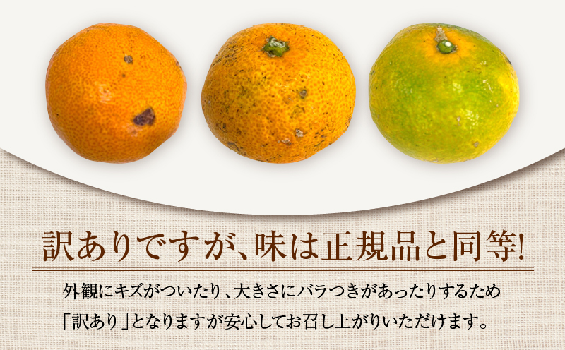宮崎県日南市のふるさと納税 訳あり ネイバーフッド 温州みかん 計8kg以上 傷み補償分入り 期間限定 数量限定 フルーツ 果物 くだもの ミカン 柑橘 オレンジ 人気 国産 食品 デザート おやつ おすすめ 産地直送 ご家庭用 おすそ分け 特産品 宮崎県 日南市 送料無料_BB154-25