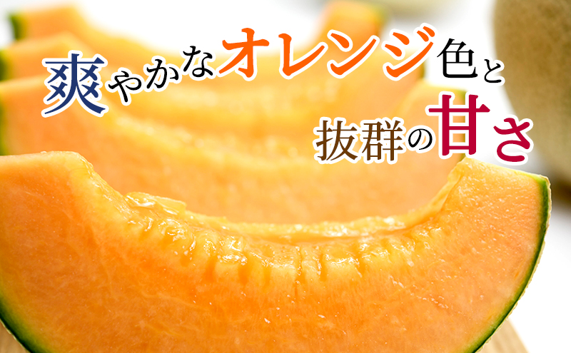 2024年10月北海道 で収穫した 松の実5kg 000000001081-01-m.jpg?t=