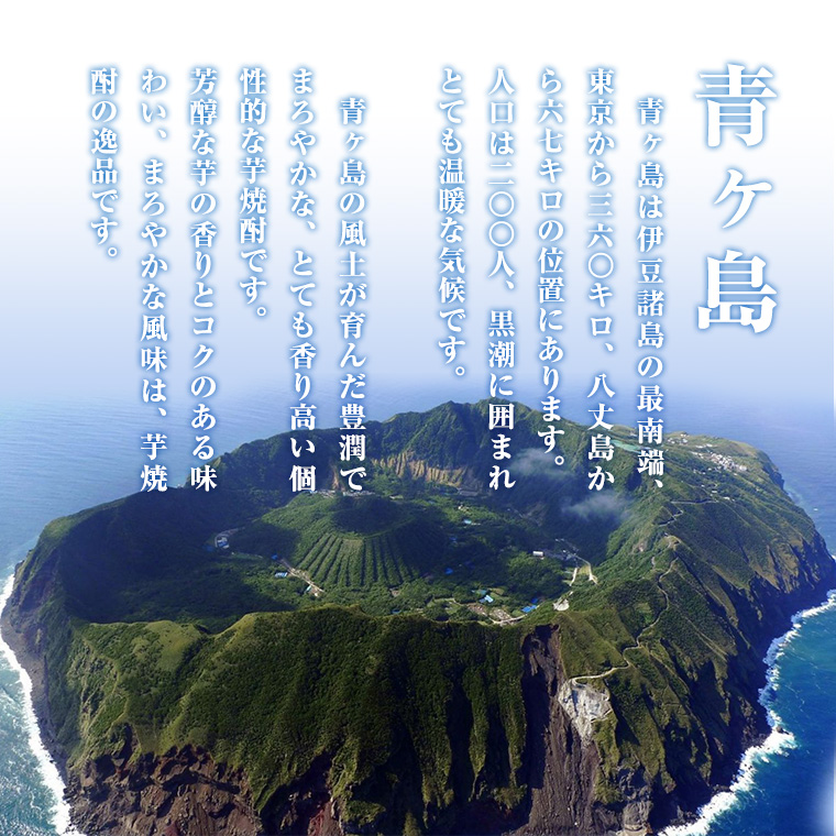 茨城県筑西市のふるさと納税 まぼろしの 芋焼酎 ！ 青酎 （ 筑西市産 井上さつま 使用 ） 1本 焼酎 お酒 酒 アルコール 芋 [BW063ci]