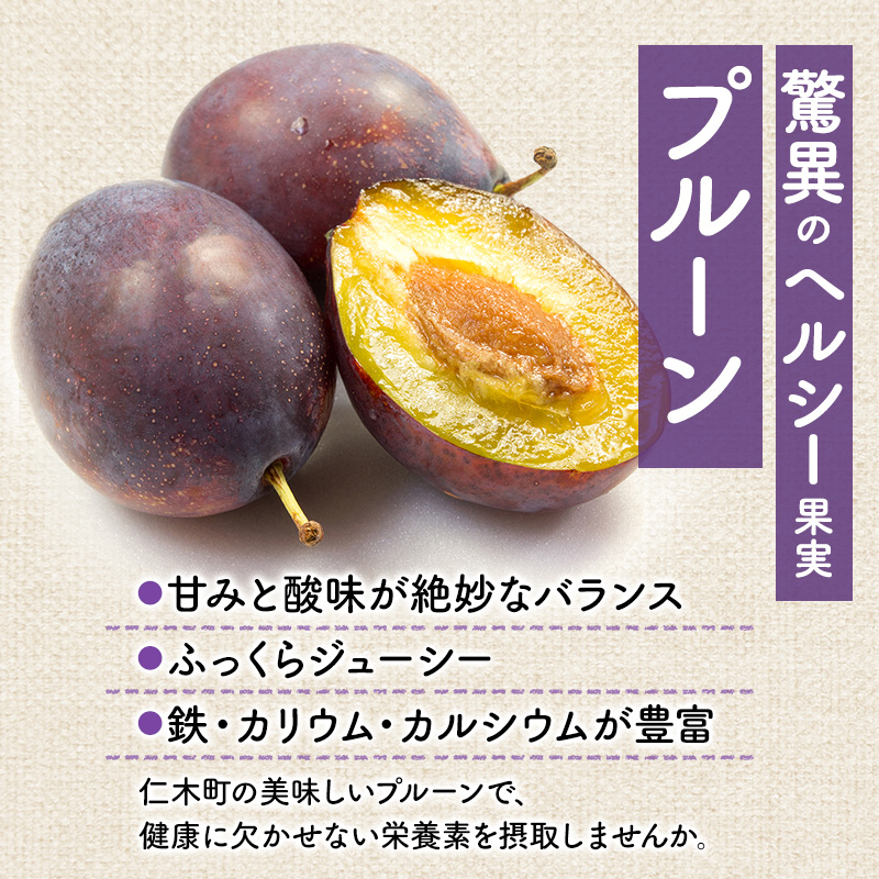 [先行受付] 9月末～10月お届け 北海道 仁木産 フレッシュ プルーン 約2kg（サイズ混合）品種 おまかせ 果物 くだもの フルーツ [峠のふもと　紅果園]