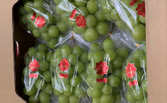 シャインマスカット 約5kg 6～8房 葡萄 フルーツ 岡山 高梁市産 こあに葡萄園 2026年 先行予約 果物類 ぶどう ブドウ 