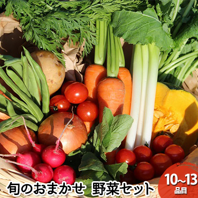 野菜 セット 詰め合わせ GP 元氣パワー 株式会社 元氣パートナーズ 食品 やさい 無農薬 