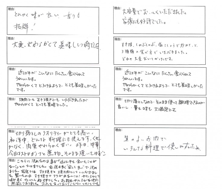 近江牛　切り落とし【1.6kg（800ｇ×2パック）】【K036W】