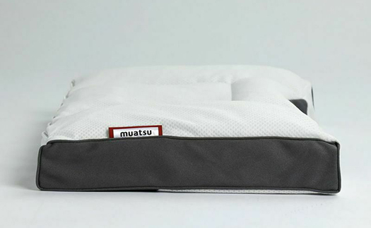 山梨県市川三郷町のふるさと納税 【昭和西川】ムアツまくら　MP2050　ピロケースセット [5839-1502]