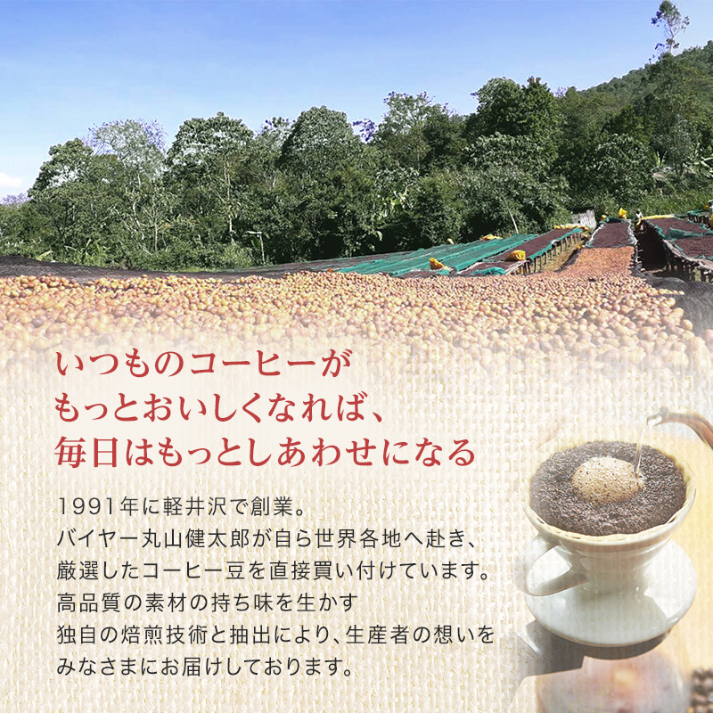 丸山珈琲 コーヒー 定期便 4回 四季を感じるスペシャルティコーヒー セット 珈琲 粉 ドリップ ドリップコーヒー ドリップバッグ コーヒー粉 レギュラーコーヒー ブレンド オリジナル 小諸ブレンド 