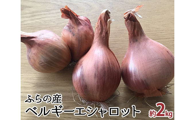 【北海道富良野市】【2025年10月中旬〜発送】希少!香味 野菜 ベルギーエシャロット ふらの産 約2kg 北海道 富良野市 (岡本ファームズ) 新鮮 玉ねぎ 直送 道産 ふらの 送料無料 数量限定 先着順
