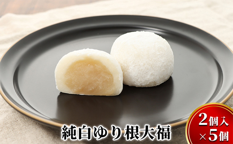 ykCʒz荪啟10i2×5jmⓀn\ʒގY荪 aَq XC[c Y 񂰂  