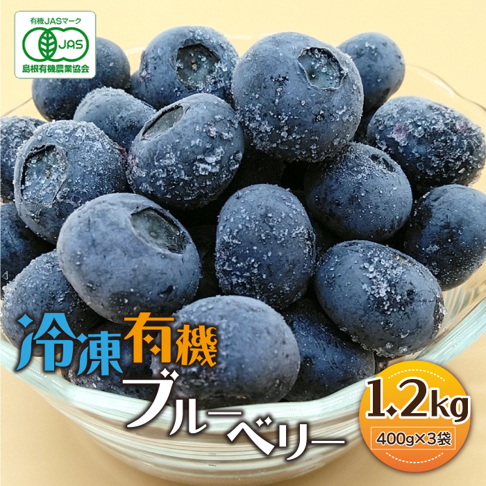 冷凍 有機ブルーベリー 1.2kg（400