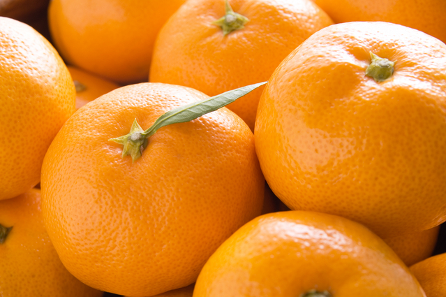 【産直・秀品】和歌山下津みかん 約5kg（2Sサイズ） ※2025年11月中旬～2026年1月中旬頃に順次発送予定