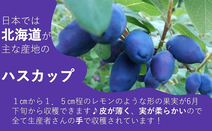 自家農園産・冷凍ハスカップ1kg（500g×2袋） 北海道 南富良野町