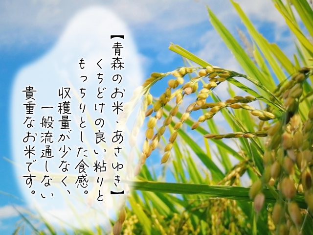 新米 令和7年産 あさゆき 白米 5kg 1袋 米 精米 こめ お米 おこめ コメ ご飯 ごはん 令和7年 H.GREENWORK 青森 青森県 鯵ヶ沢町 