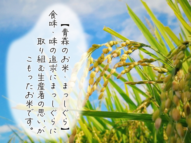 お米　青森県産　まっしぐら　5kg　コメ　追加購入ok　精米　主食 青森県産まっしぐら 5kg×1袋 - ライケットオンラインショップ