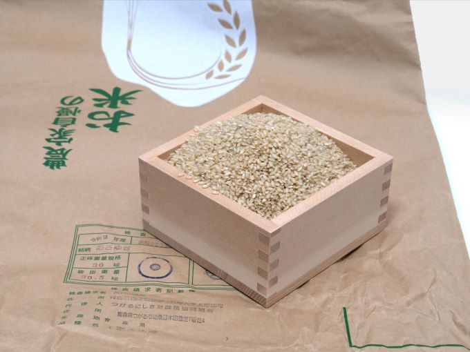 数量限定 新米 あさゆき 玄米 30kg H.GREENWORK 令和7年産 米 お米 ご飯 30キロ 希少 限定 先行 予約 先行予約 こめ おこめ コメ ごはん 青森 青森県 鰺ヶ沢町