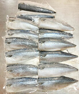 G7012_【リピーター続出！！】塩さばフィレ14枚入(真空パック入) 真空パック 切り身 おかず 肉厚 焼くだけ 簡単 万能 さば 水産加工品 魚介 海鮮 海の幸 海産物 食品 食べ物 冷凍 グルメ お取り寄せ 送料無料