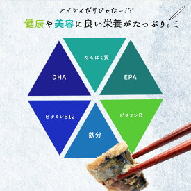 G7012_【リピーター続出！！】塩さばフィレ14枚入(真空パック入) 真空パック 切り身 おかず 肉厚 焼くだけ 簡単 万能 さば 水産加工品 魚介 海鮮 海の幸 海産物 食品 食べ物 冷凍 グルメ お取り寄せ 送料無料