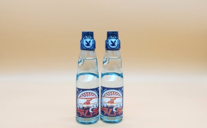 『ひみつ基地ミュージアム』人吉海軍 グルメセット（カレー 2食・ラムネ 2本） 加工食品 惣菜 レトルト 飲料類 炭酸飲料 