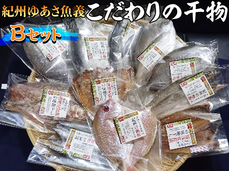 【和歌山県美浜町】紀州ゆあさ魚義 こだわりの干物 Bセット≪サバ タイ サンマ アジ カマス おかず 冷凍 詰め合わせ≫◆