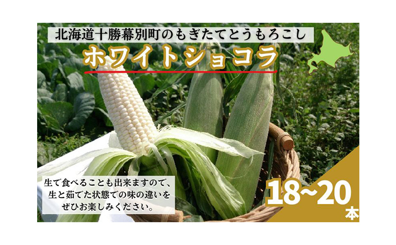 ［先行予約/2029年］もぎたてとうもろこし白18～20本 [北海道ホープランド農場]【 とうきび トウモロコシ とうもろこし 野菜 夏野菜 フルーツ 北海道 十勝 幕別 】 