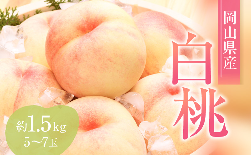 yRԔ֎sz 2026N s\ Ԕւ  1.5kg 5`7 JA̍ xZT[I   R Ԕ֎sY Y t[c ʕ Mtg fU[g ʓ