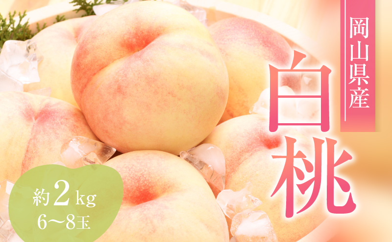 yRԔ֎sz 2026N s\ Ԕւ  2.0kg 6`8 JA̍ xZT[I   R Ԕ֎sY Y t[c ʕ Mtg fU[g ʓ