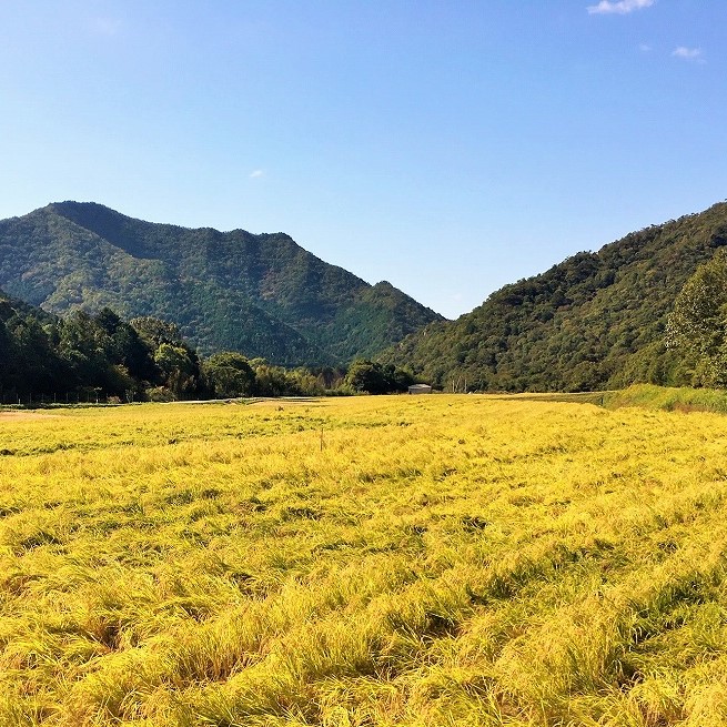『醸し人九平次 「human」「山田錦」「彼の地」（各720ml）』セット　～西脇市産山田錦使用日本酒（純米大吟醸）～