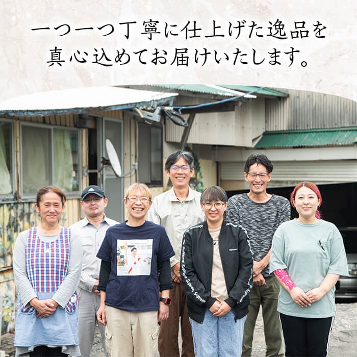 設置式＞岩盤浴ベッド5年保証付き！(ラジウム4枚・ゲルマニウム4枚