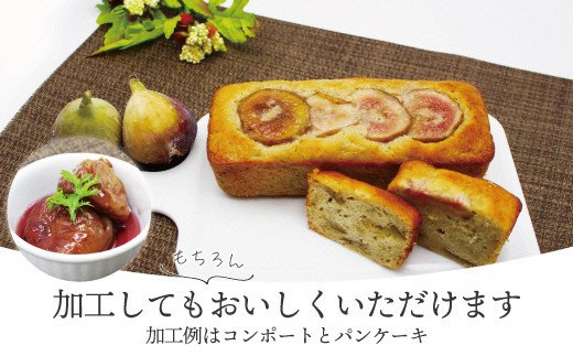 福岡県福津市のふるさと納税 【2026年8月より順次発送】福岡県産とよみつひめ　約300g×4パック[G2223]