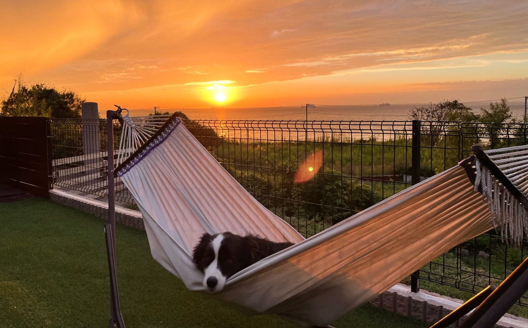 GREENHOUSE淡路ガーデン ご利用券（30,000円分） 宿泊券 ペットと泊まれる宿 旅行 クーポン 淡路島