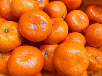 G7073_【2026年先行予約】初夏のみかん なつみ 7.5kg【家庭用 訳あり】【ミカン 蜜柑 柑橘 和歌山 有田 南津海】