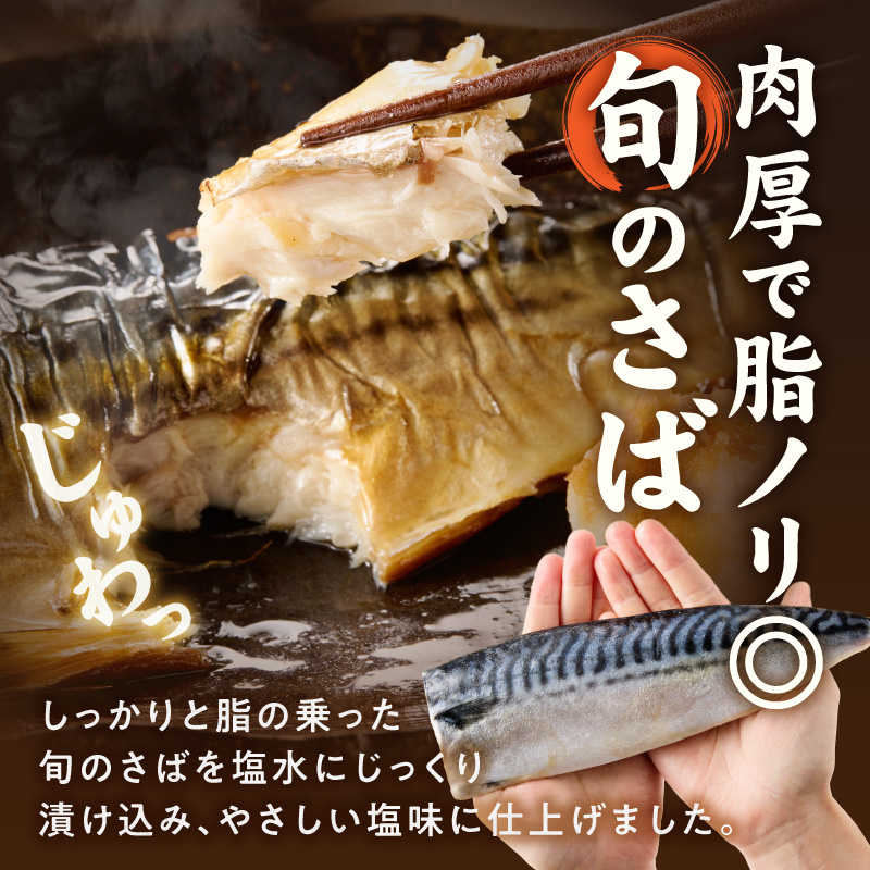 G7320_高評価 リピーター続出 塩サバフィレ 8枚 塩サバ 食べやすい 切り身 真空パック 魚 おかず 時短 肉厚 脂乗り 塩味 ジューシー 焼くだけ 簡単 ご飯のお供 焼き魚 煮魚 凍便 栄養 和歌山県 湯浅町 送料無料