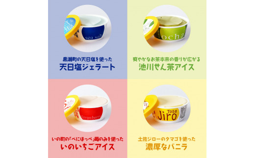 TKA015　おいしいんだもの 高知アイスセット／高知の素材にこだわった人気アイスのアソートセットです。故郷納税 11000円 2022 食べ物 ギフト 詰め合わせ シャーベット スイーツ お菓子 プレゼント 濃厚 バニラ アイスクリーム 塩 いちご 苺 お茶 文旦 ゆず