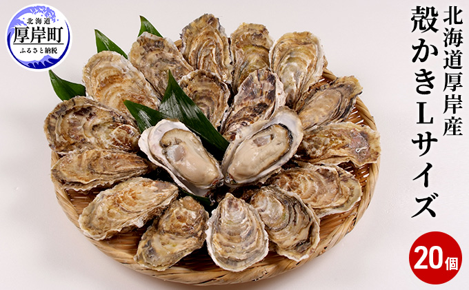 ykCݒzݎY@k L20Zbg kC y JL  H Hp y L }