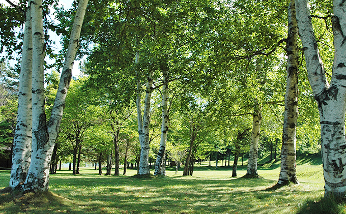 手ぶらでキャンプ（オートキャンプ場2名様分） 北海道 南富良野町 オートキャンプ キャンプ かなやま湖 宿泊券 チケット 入場券 体験チケット ドックラン 