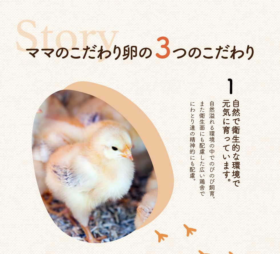 兵庫県市川町のふるさと納税 【値下げしました！】卵黄で作ったこだわりのマヨネーズ5個 008AC01N.／ママのこだわり卵 大容量 栄養満点 調味料 お料理 安心 安全 健康 玉子 サラダ ディップ ポテトサラダ