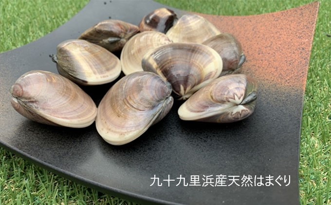 絶品九十九里の”味”天然はまぐり大漁盛り10kg within2024  魚介類 貝類 ハマグリ 蛤 