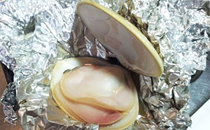 はまぐり 定期便 6ヶ月 九十九里産 天然はまぐり 1.5kg ご注文時お勧めサイズお任せ セット 貝 海鮮 海産物 海の幸 魚介 魚介類 水産 水産物 国産 天然 地元漁師が厳選 産地直送 冷蔵 冷蔵配送 千葉 千葉県 九十九里 九十九里町 定期 お楽しみ 6回