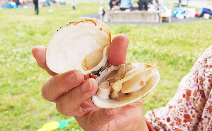 はまぐり 定期便 3ヶ月 九十九里産 天然はまぐり 1.5kg ご注文時お勧めサイズお任せ セット 貝 海鮮 海産物 海の幸 魚介 魚介類 水産 水産物 国産 天然 地元漁師が厳選 産地直送 冷蔵 冷蔵配送 千葉 千葉県 九十九里 九十九里町 定期 お楽しみ 3回