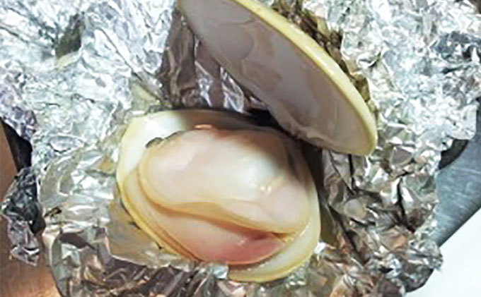 はまぐり 定期便 3ヶ月 九十九里産 天然はまぐり 1.5kg ご注文時お勧めサイズお任せ セット 貝 海鮮 海産物 海の幸 魚介 魚介類 水産 水産物 国産 天然 地元漁師が厳選 産地直送 冷蔵 冷蔵配送 千葉 千葉県 九十九里 九十九里町 定期 お楽しみ 3回