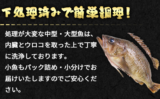 【定期便】北海道産 訳あり 冷凍鮮魚セット Ｌサイズ 4kg〜4.5kg  年4回お届けコース 総重量16.0kg～18.0kg 【漁師応援プロジェクト】鮮魚ボックス 詰め合わせ