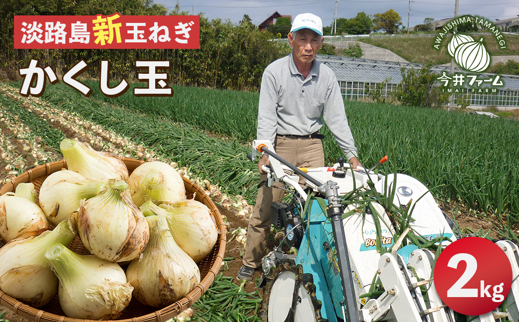 【新たまねぎ】今井ファームの淡路島たまねぎ「かくし玉」 2kg【発送時期2026年4月下旬～5月頃】　新玉ねぎ