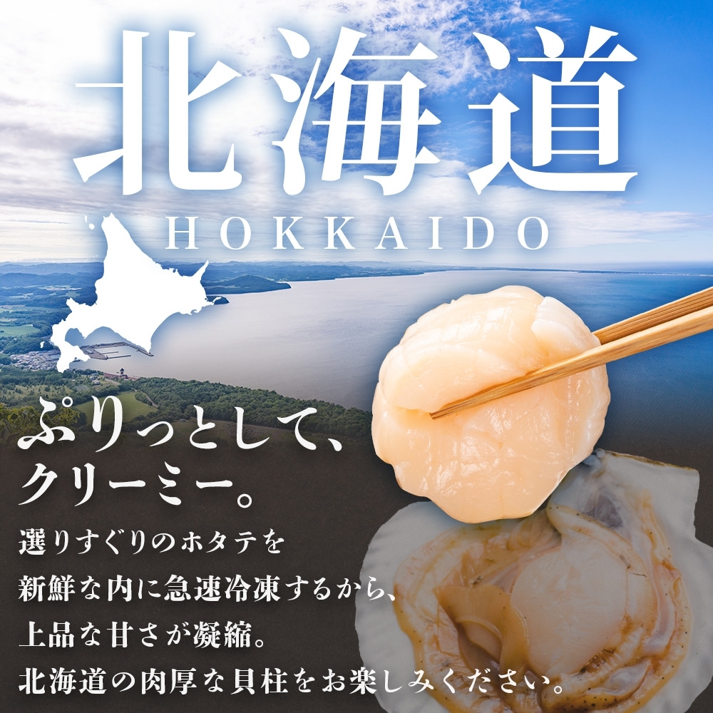 北海道弟子屈町のふるさと納税 【年末配送可能 受付9月まで】3328. 無地熨斗 ホタテ貝柱 1kg 10-12人前 のし 名入れ不可 ほたて 帆立 生ほたて 貝柱 貝 海鮮 熨斗 贈り物 贈答用 送料無料 北海道 弟子屈町