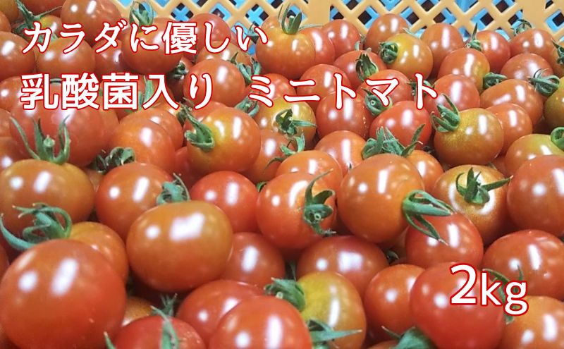【香川県東かがわ市】カラダに優しい「乳酸菌入り ミニトマト2kg」