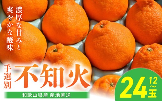 【和歌山県有田郡湯浅町】BL6016n_【産地直送】【2026年先行予約】和歌山県産 不知火 12玉〜24玉【でこぽん デコポン しらぬい 不知火 柑橘】