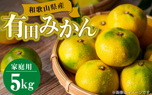 ya̎RLcS󒬁zBL6111n_y󂠂za̎RY Lc݂ 5kg